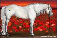 Horse Color:White Spotted Silver Buckskin Chinchilla Dun