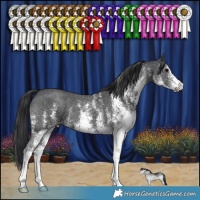 Horse Color:White Spotted Black