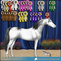 Horse Color:White Spotted Black