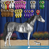 Horse Color:White Spotted Black