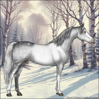 Horse Color:White Spotted Silver Grullo Chinchilla 