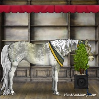 Horse Color:White Spotted Silver Black Chinchilla Tobiano 