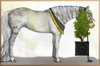 Horse Color:White Spotted Silver Grullo Chinchilla Ice Tobiano 