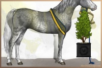 Horse Color:White Spotted Silver Black Chinchilla Ice 