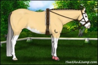 Horse Color:Buckskin Roan Splash 