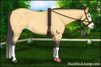 Horse Color:Buckskin Roan Splash Rabicano 