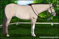 Horse Color:Sable Champagne Dun Rabicano