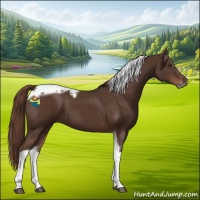 Horse Color:Liver Chestnut Tobiano Frame 