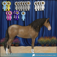 Horse Color:Gray Classic Cream Champagne 