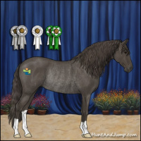 Horse Color:Smoky Blue Roan Rabicano 