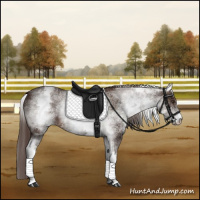 Horse Color:White Spotted Liver Chestnut Sabino