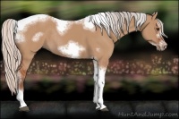 Horse Color:Silver Bay Dun Sabino Tobiano Frame Rabicano 