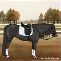 Horse Color:Liver Chestnut Sabino 