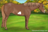 Horse Color:Chestnut Splash Frame 