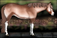 Horse Color:White Spotted Red Onyx 