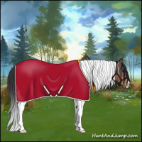 Horse Color:Bay Tobiano Appaloosa