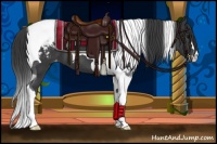 Horse Color:Black Tobiano Appaloosa