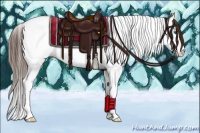 Horse Color:Bay Dun Sabino Splash Tobiano Appaloosa 