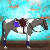 Horse Color:Grullo Tobiano