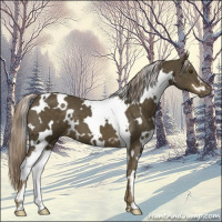 Horse Color:White Spotted Chocolate Palomino Mushroom 