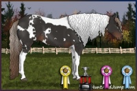 Horse Color:White Spotted Liver Chestnut Tobiano 