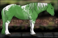 Horse Color:Watercolor Black Tobiano 