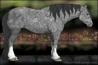 Horse Color:Black Ice 