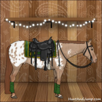 Horse Color:Red Dun Appaloosa Brindle 