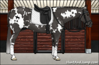 Horse Color:White Spotted Smoky Black