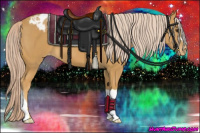 Horse Color:Palomino Appaloosa