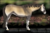 Horse Color:Smoky Blue Onyx