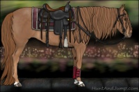 Horse Color:Chestnut Rabicano 