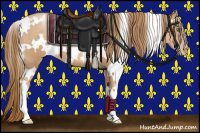 Horse Color:White Spotted Chestnut Pearl 