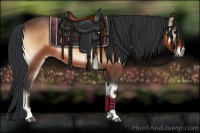 Horse Color:Bay Onyx 