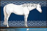 Horse Color:Chestnut Appaloosa