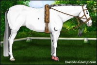 Horse Color:Black Splash Appaloosa 
