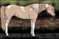 Horse Color:Watercolor Chestnut Tobiano 