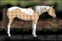 Horse Color:Plaid Bay Dun Tobiano Rabicano