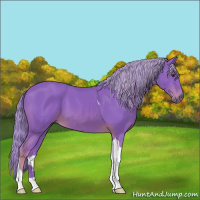 Horse Color:Watercolor Chestnut Tobiano 