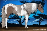 Horse Color:White Spotted Grullo Roan Rabicano  and Silver Blue Roan Tobiano Rabicano 