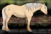 Horse Color:Silver Sable Cream Champagne Dun 