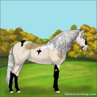 Horse Color:Silver Smoky Black Splash  and Silver Smoky Creme Splash Tobiano 