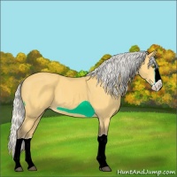 Horse Color:Silver Buckskin Splash