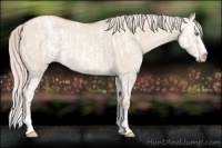 Horse Color:Silver Classic Champagne Ice Dun Splash Frame  and Silver Classic Champagne Ice Dun Sabino Splash 