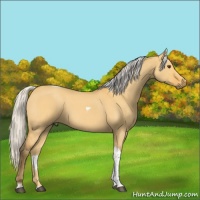 Horse Color:Silver Buckskin Dun Tobiano 