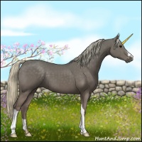 Horse Color:Silver Black 