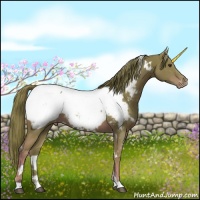 Horse Color:Watercolor White Spotted Chestnut Appaloosa 