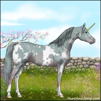 Horse Color:Watercolor White Spotted Chestnut 