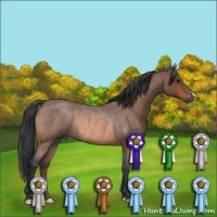 Horse Color:Bay Roan Rabicano 