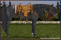 Horse Color:Black Appaloosa Rabicano 